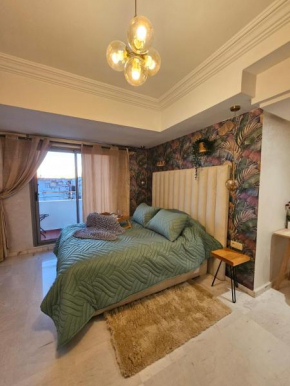 Magnifique appartement boulevard